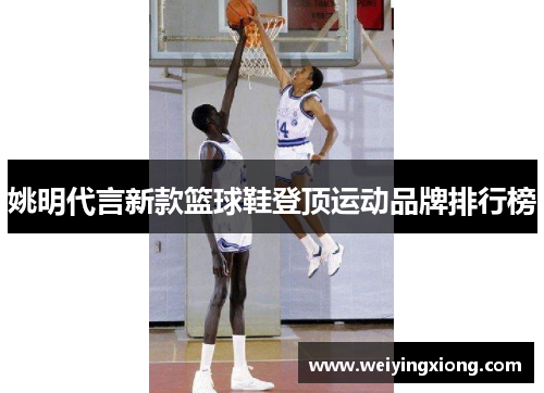 姚明代言新款篮球鞋登顶运动品牌排行榜